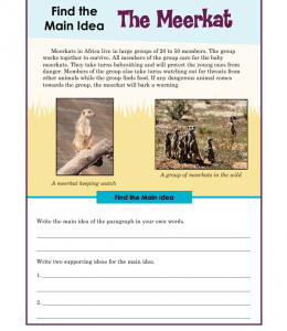 Find the Main Idea: The Meerkat