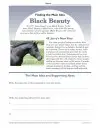 black-beauty-main-idea