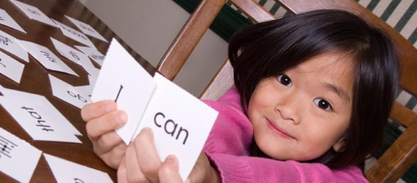 Dolch Word List Worksheets and Activities