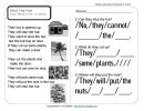 Week 13 Reading Comprehension Worksheet