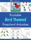 Birds Preschool Theme Activities
