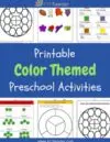 Colors Preschool Theme Activities