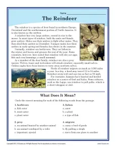 The Reindeer - Reading Passage | Christmas Worksheet for 5th Grade