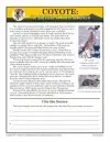 reading comprehension worksheets 7th grade multiple choice Coyote: the Survivor of North America