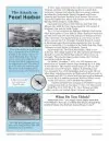 reading comprehension worksheets 7th grade multiple choice The Attack on Pearl Harbor