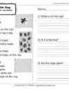 reading worksheets for first grade pdf The Bug on the Rug