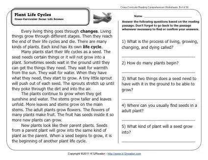 Plant Life Cycles | 2nd Grade Reading Comprehension Worksheets