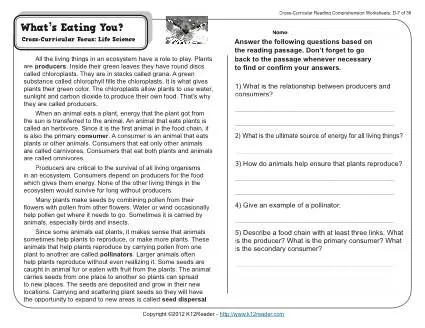 what s eating you 4th grade reading comprehension worksheet