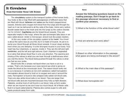 Synonyms and Antonyms Passage Worksheets for 5th and 6th Grade