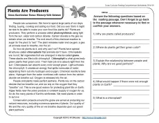 plants are producers 5th grade reading comprehension worksheet