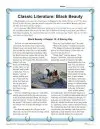Black Beauty - Printable Reading Comprehension Set
