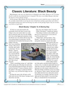 Reading Comprehension Worksheet Set for Black Beauty