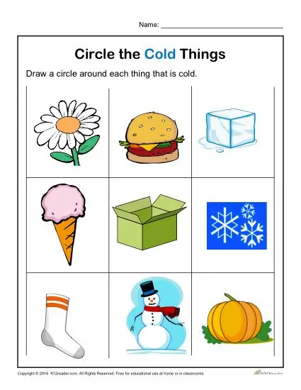 Preschool Worksheet Activity - Circle the Cold Things!