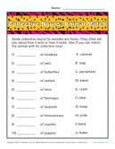 Collective Noun Worksheets | Animals Match