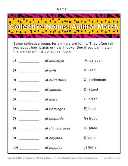 Collective Noun Worksheets - Animal Match