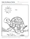 Color the Nouns: Turtle