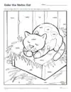 Color the Verbs: Cat