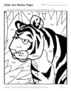 Color the Verbs: Tiger