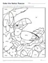 Color the Verbs: Toucan