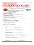 Plain vs. Plane - Commonly Confused Words Worksheet Activity