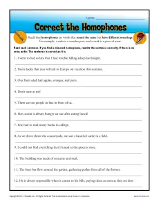 Free, Printable Correct the Homophones Worksheet