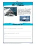 What is the main idea of a story? Dolphins Passage