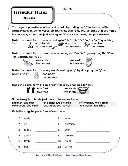 Irregular Plural Nouns | 2nd and 3rd Grade Noun Worksheet