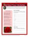 Robert Burns Poetry: A Red, Red Rose