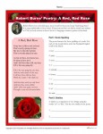 Robert Burns Poetry Printable Activity - A Red, Red Rose