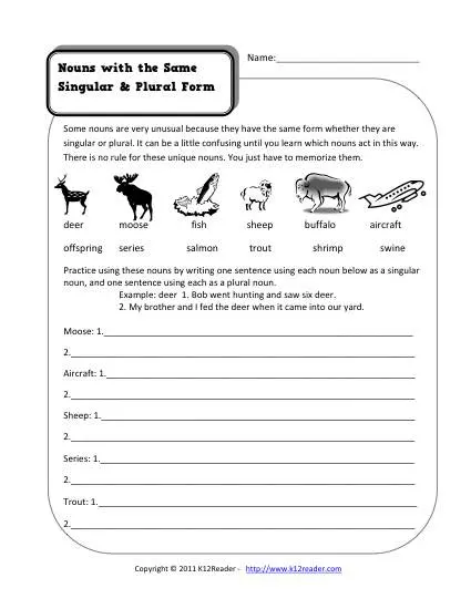 hard english worksheet and Worksheet Nouns Noun Same  Singular Grade Plural  2nd