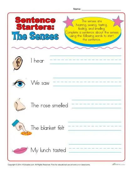 Sentence Starters for Kindergarten and 1st Grade| The Senses