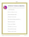 Sentences: Pronouns as Adjectives