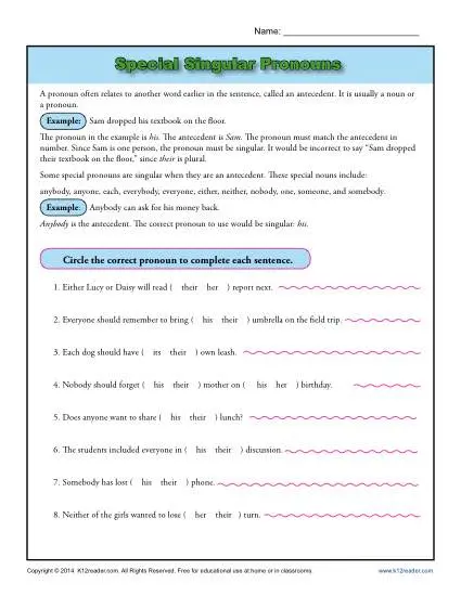 Special Singular Pronouns Worksheet Activity