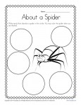 Kindergarten Writing Prompt - About a Spider!