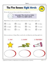 Five Senses Activity for kindergarten and 1st Grade | Sight