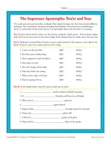 The Important Apostrophe - Your and You're - Printable Practice Activity