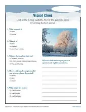 Visual Clues | Inference Worksheets: 4th, 5th, Middle School