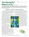 Wizard of Oz 4th and 5th Grade Reading Comprehension Worksheet Set