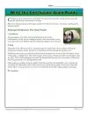 Write the Conclusion: Giant Panda