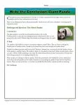 Write a Conclusion Writing Activity - Giant Panda